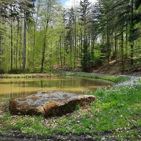 شقة Schloss Fischbach