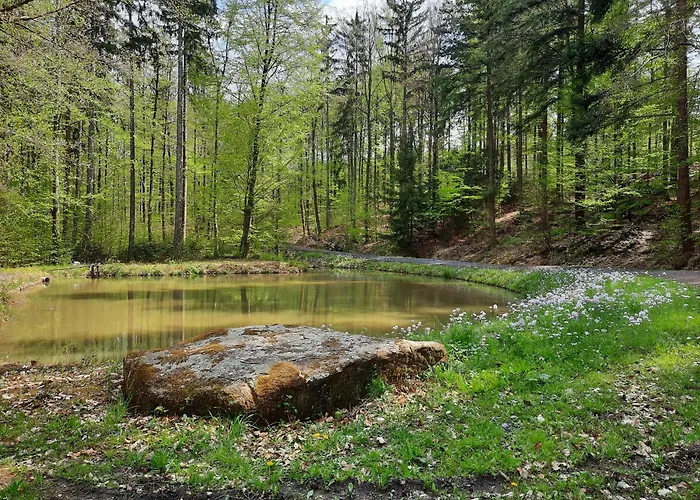 Daire Schloss Fischbach